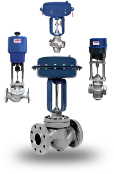 Globe Control Valves Image